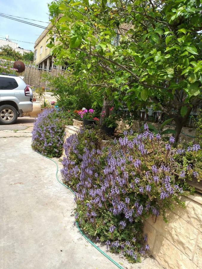 Valentine House Apartamento Deir Hanna Exterior foto